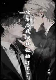 掉马后我被双胞胎盯上了(兄弟丼)作者羽痕