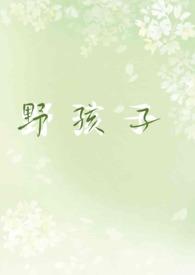 野孩子免费阅读po