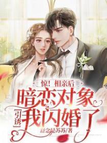惊相亲后暗恋对象引诱我闪婚了 舒念是苏苏