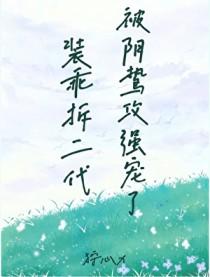 装乖是主攻文吗