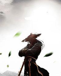 汉风雄烈的全部