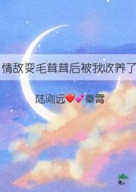 情敌变成我的猫怎么办