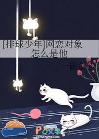 排球少年有感情线吗