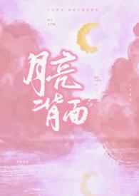 月亮的背面番外