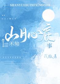 山月不知心底事内容