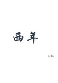 西年是什么意思