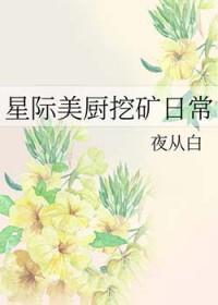 星际美厨挖矿日常 夜从白