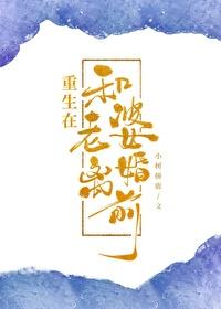 重生在老婆离婚前by小树撞撞
