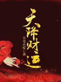 天降财运完结免费