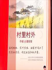 村里村外改编的电视剧