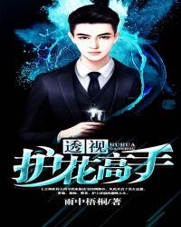 透视高手混都市