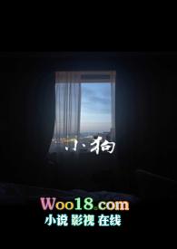 小狗一天喂几次