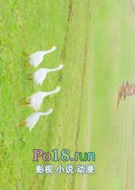 娇全文免费阅读