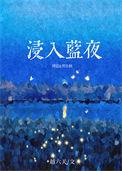 浸入蓝夜越六关TXT全文免费