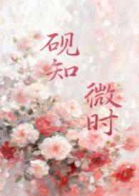 砚知微时(父女)国语