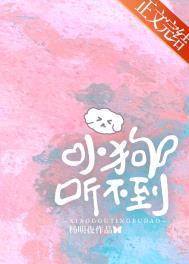 狗狗听不见声音