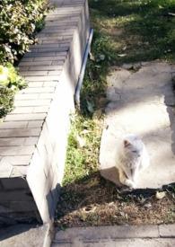 女主无三观出轨已婚男主媚欢