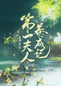 第一夫人全文阅读