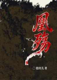 凰殇女尊by殷玦儿免费阅读