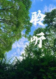 聆听听书