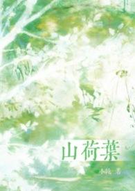 山荷叶花的花语