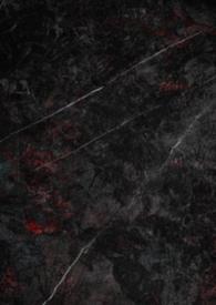 娇妻养成日记全集