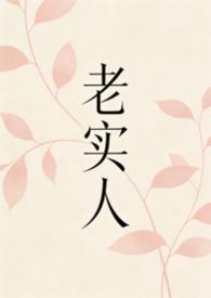 老实人免费阅读全文