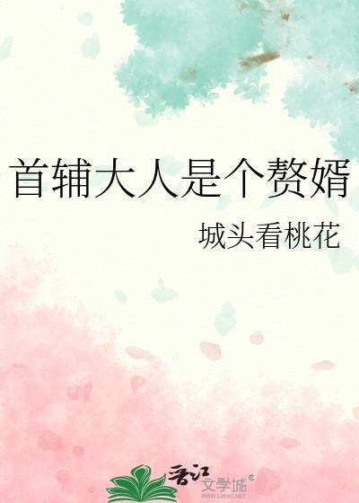 首辅大人是赘婿免费阅读