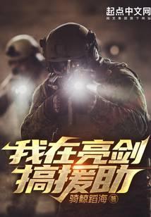 我在亮剑搞援助全文免费