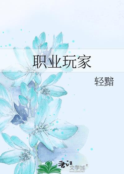 职业玩家txt