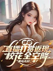 神豪打赏直播系统类
