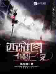 美国西雅图冰雪夜