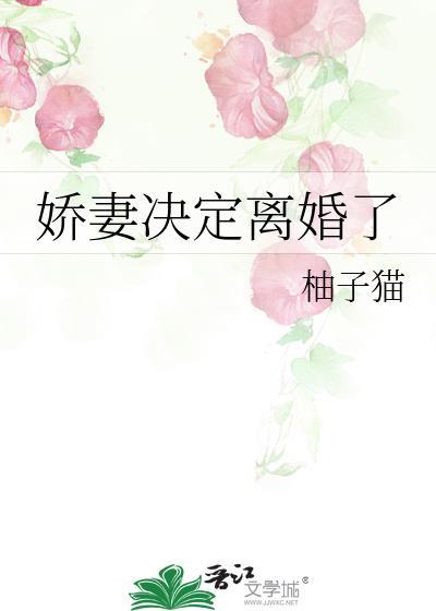 娇妻决定离婚了免费阅读