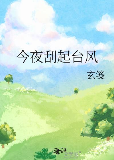 今夜刮起台风歌词