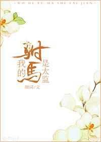 我的驸马是什么意思