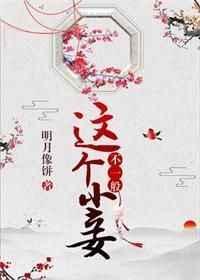 这个小妾不一般后续