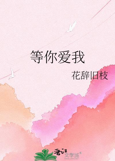 等你爱我的歌词
