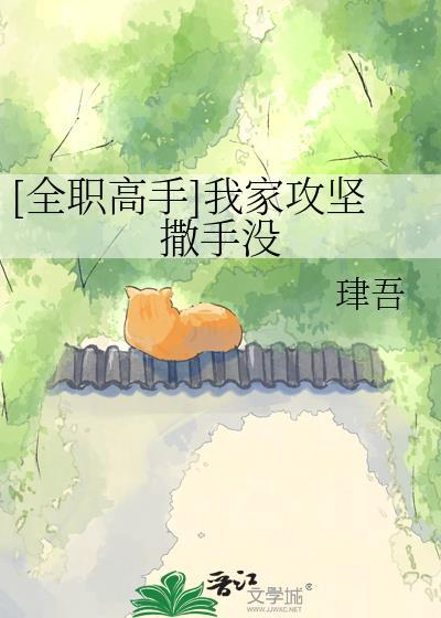 全职高手之我家队长叫叶修