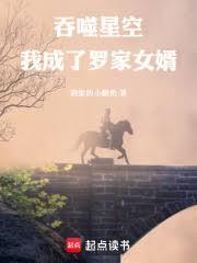 吞噬星空我成了罗家女婿全文免费阅读软件
