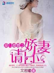 豪门撩婚之请上位全文免费阅读