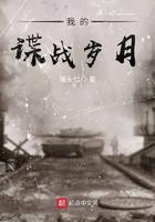 我的谍战岁月精校版txt
