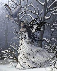 沈听雪免费阅读